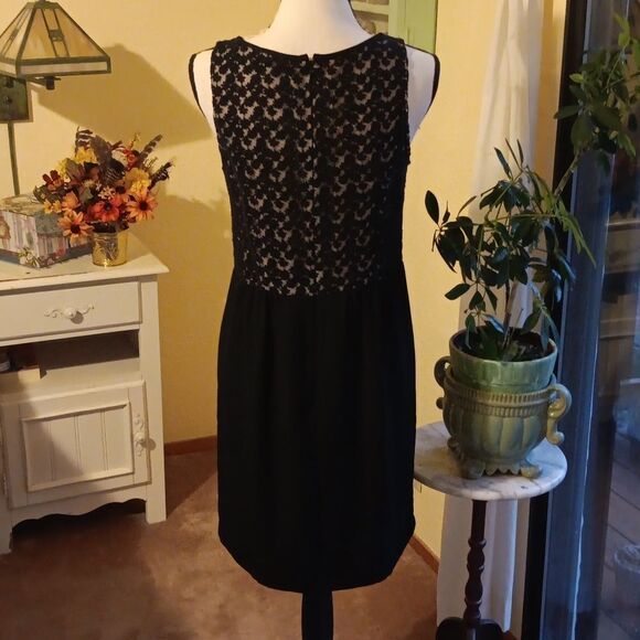 Loft Lace and Chiffon Skirt. Lace. Whimsigoth. Dressy - Picture 7 of 13